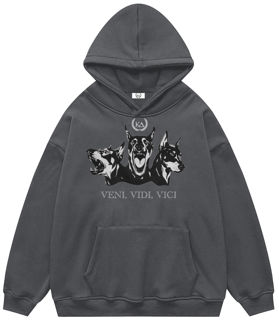 VENI, VIDI, VICI™ Hooded Sweatshirt