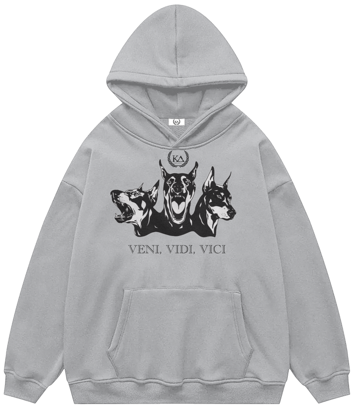 VENI, VIDI, VICI™ Hooded Sweatshirt