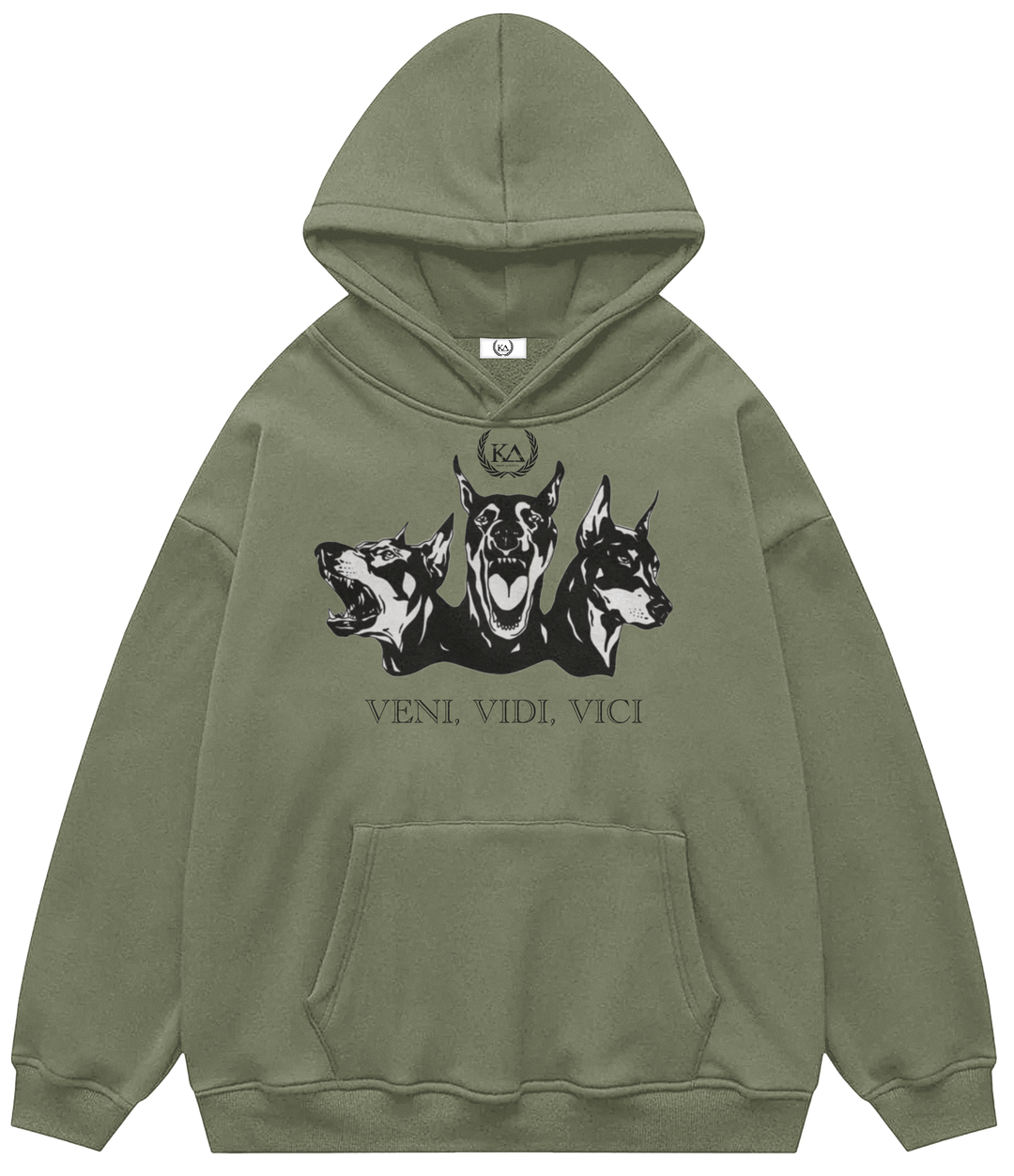 VENI, VIDI, VICI™ Hooded Sweatshirt