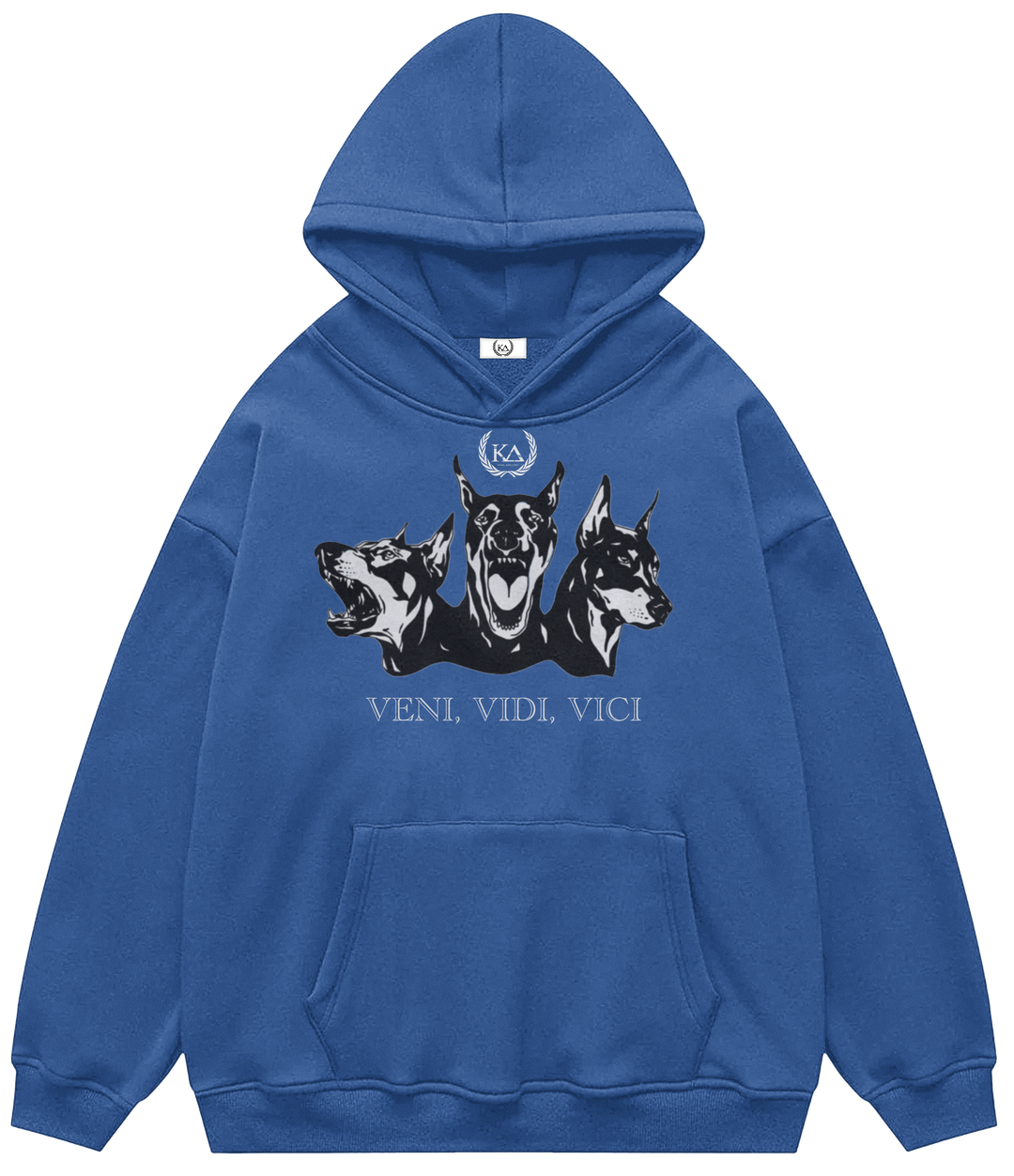 VENI, VIDI, VICI™ Hooded Sweatshirt