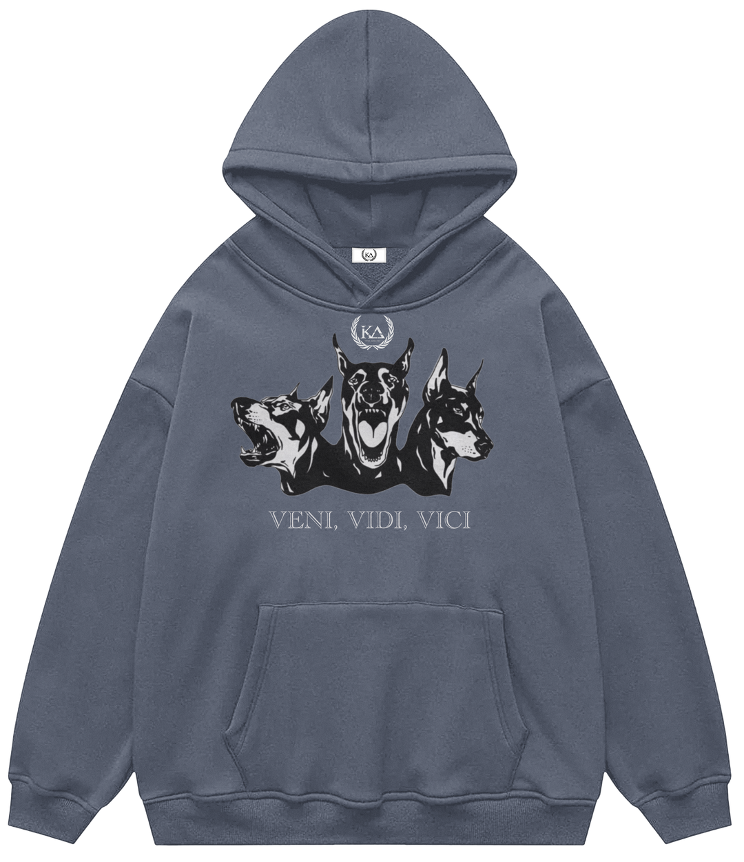 VENI, VIDI, VICI™ Hooded Sweatshirt