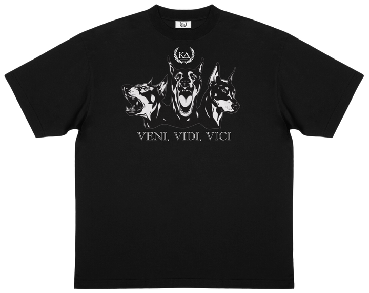 VENI VIDI VICI™ Essential Oversized T-shirt