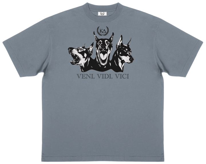 VENI VIDI VICI™ Essential Oversized T-shirt