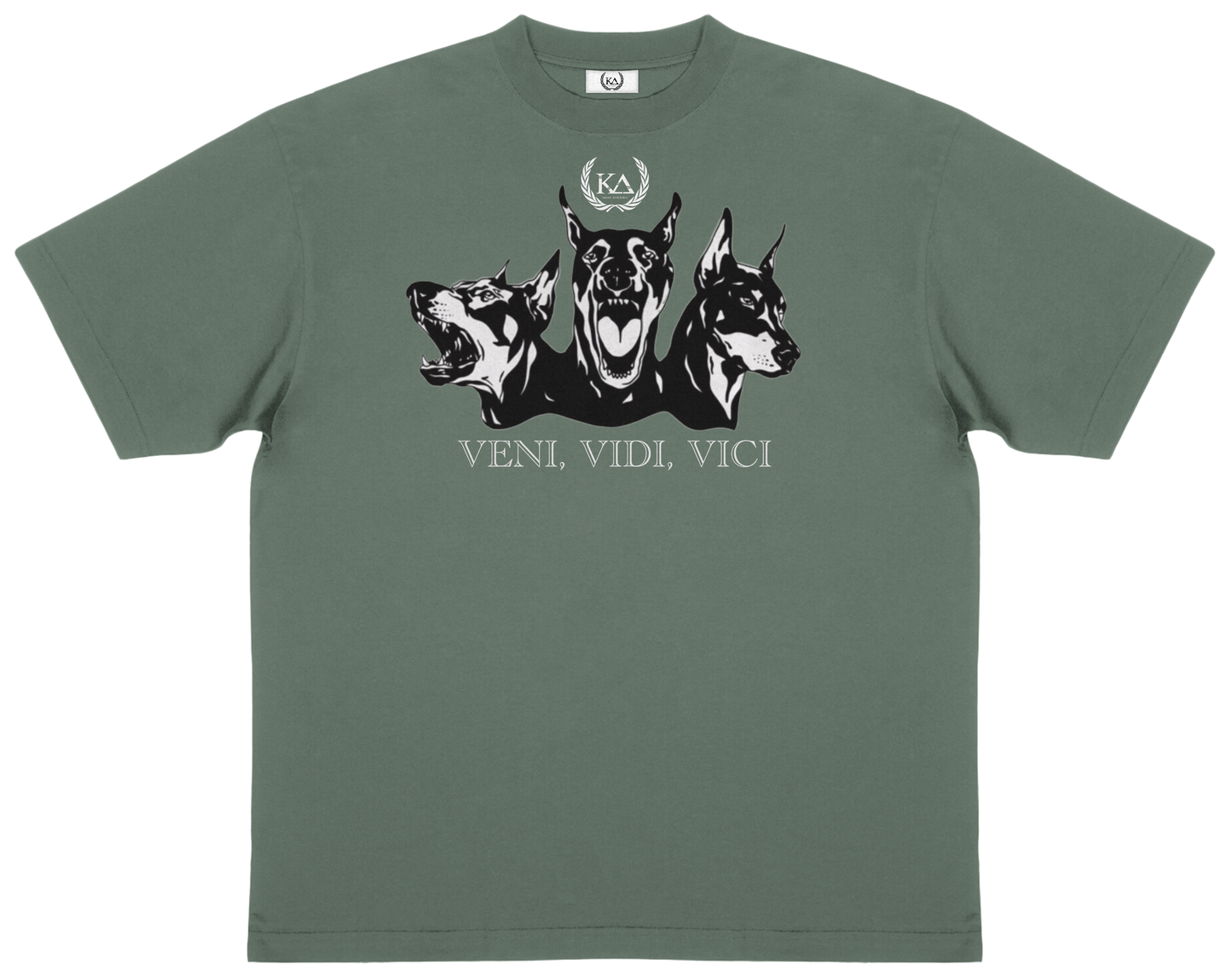 VENI VIDI VICI™ Essential Oversized T-shirt