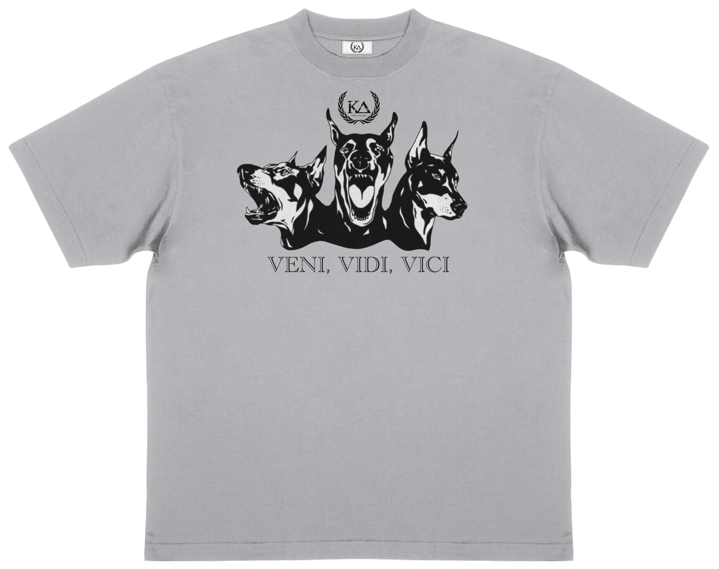VENI VIDI VICI™ Essential Oversized T-shirt