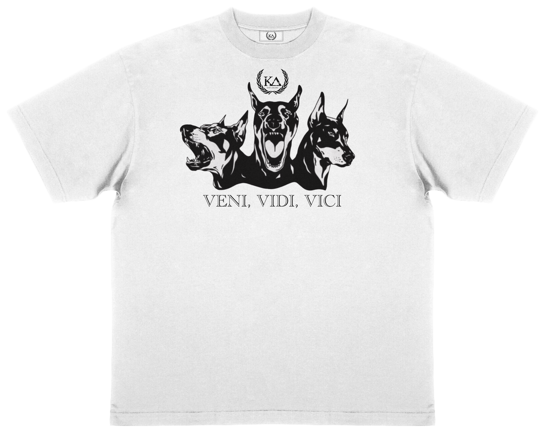 VENI VIDI VICI™ Essential Oversized T-shirt