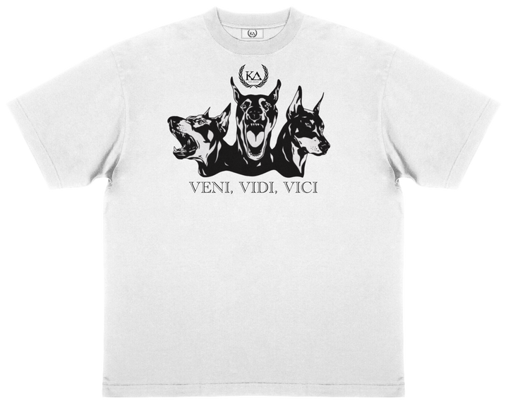 VENI VIDI VICI™ Essential Oversized T-shirt