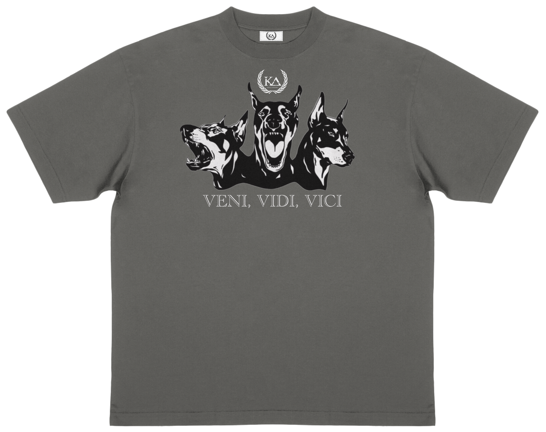 VENI VIDI VICI™ Essential Oversized T-shirt